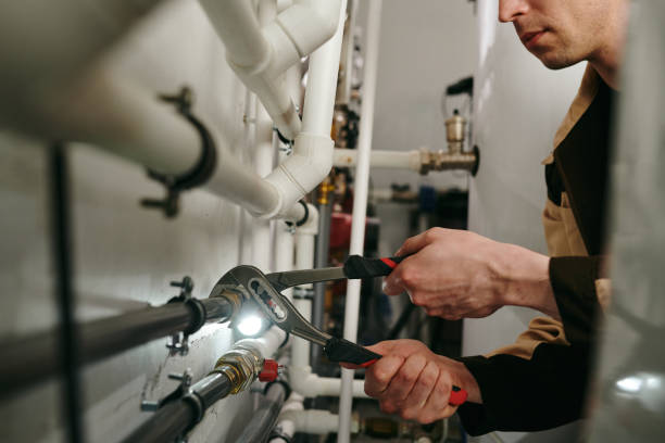 Best Clogged Drain Plumber  in Arbury Hls, IL