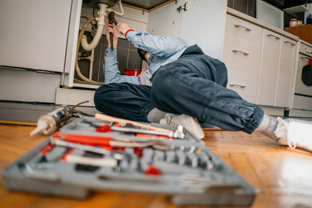 Best Plumbing Inspection Services  in Arbury Hls, IL