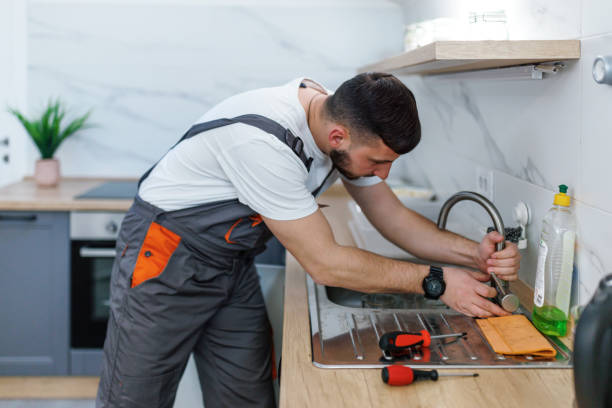Best Commercial Plumbing Services  in Arbury Hls, IL