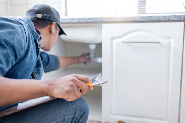 Arbury Hls, IL Plumbing Pros