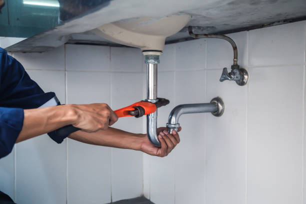 Best Plumbing Installation Services  in Arbury Hls, IL