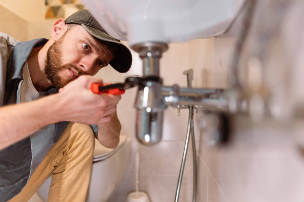 Best Leak Detection Services  in Arbury Hls, IL