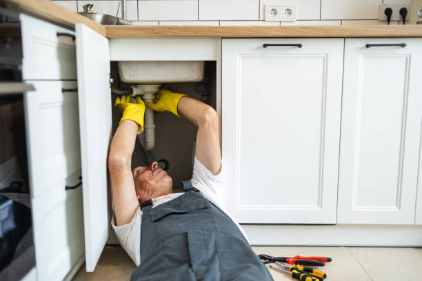 Best Residential Plumbing Services  in Arbury Hls, IL