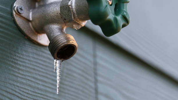 Best Same-Day Plumbing Service  in Arbury Hls, IL