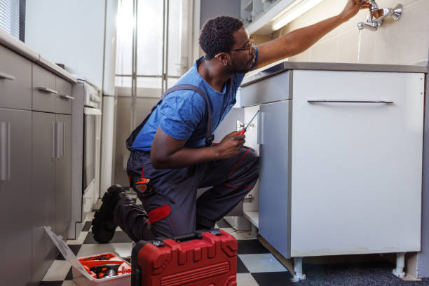 Best Local Plumber Services  in Arbury Hls, IL