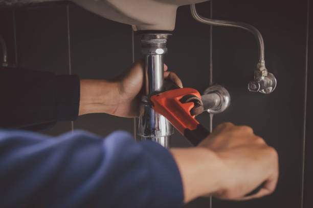 Best Commercial Plumbing Services  in Arbury Hls, IL