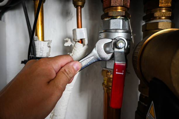 Best Best Plumbers Near Me  in Arbury Hls, IL